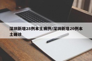 深圳新增28例本土病例/深圳新增20例本土确诊