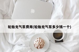 轮胎充气泵费用(轮胎充气泵多少钱一个)