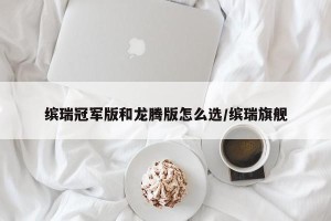 缤瑞冠军版和龙腾版怎么选/缤瑞旗舰
